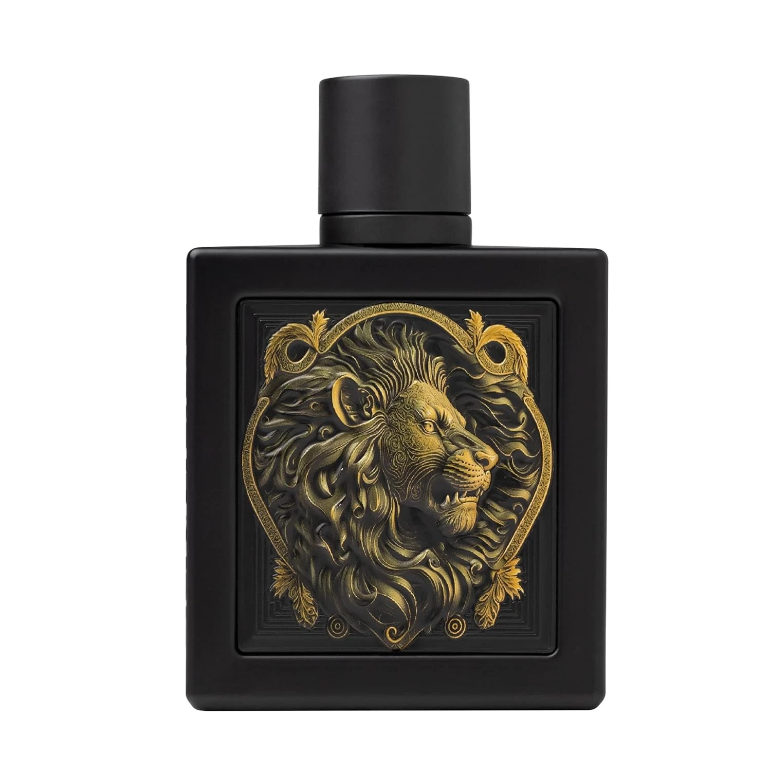 Lion by Rayhaan